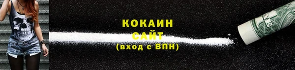 прущие грибы Алзамай