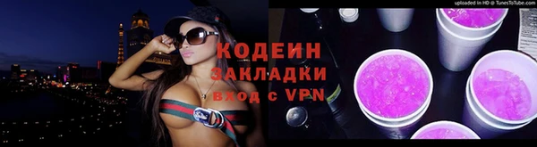прущие грибы Алзамай