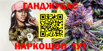 крисы Малгобек