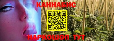 крисы Малгобек