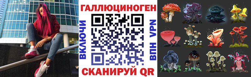 где купить наркоту  Каменск-Уральский  Галлюциногенные грибы Cubensis 