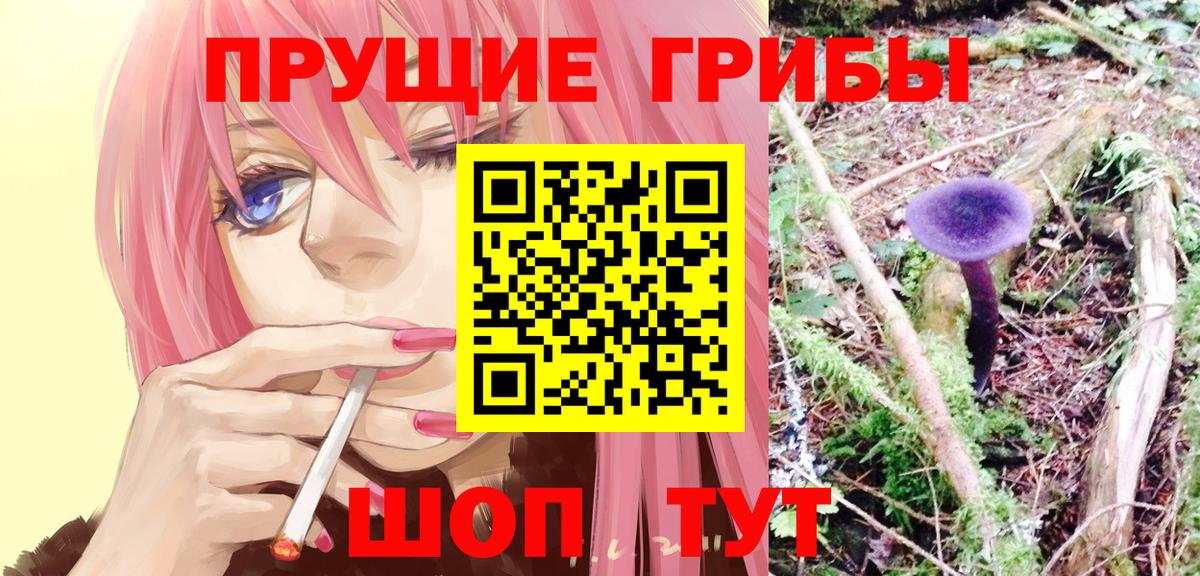 Галлюциногенные грибы Magic Shrooms  Вход с VPN  Галлюциногенные грибы Magic Shrooms  Каменск-Уральский 